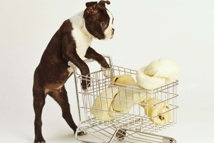 Veterinary Retail Outlets